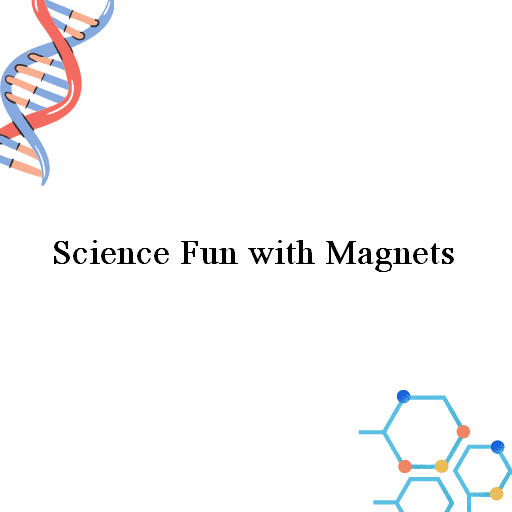 Science Fun with Magnets